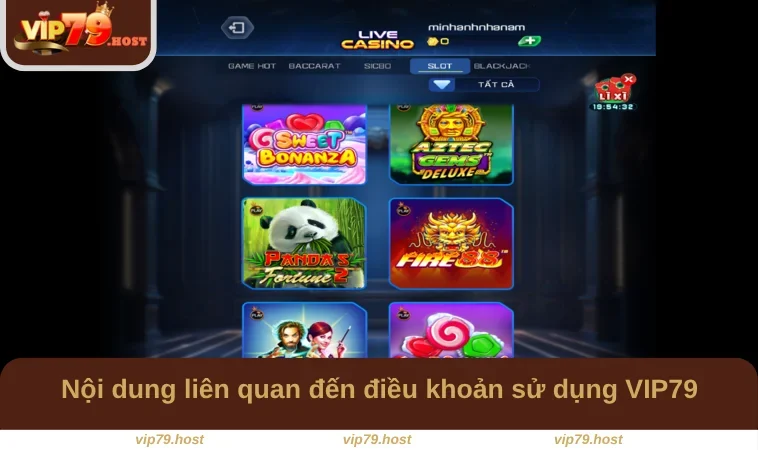 Nội dung liên quan đến điều khoản sử dụng VIP79